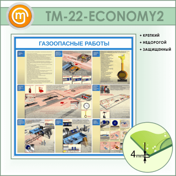    (TM-22-ECONOMY2)
